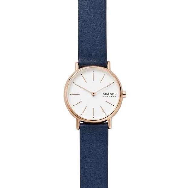 Часы Skagen SKW2838