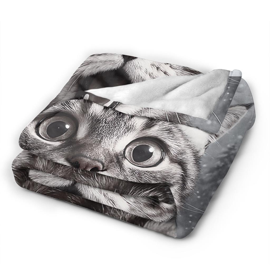 Cat Selfie with Santa Warm Blanket Girls Boys Plush Throw Blanket Fluffy Living Room Flannel Bedspread Sofa Bed Cover