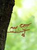 Metal Branch Outdoor Decor in Multiple Colors