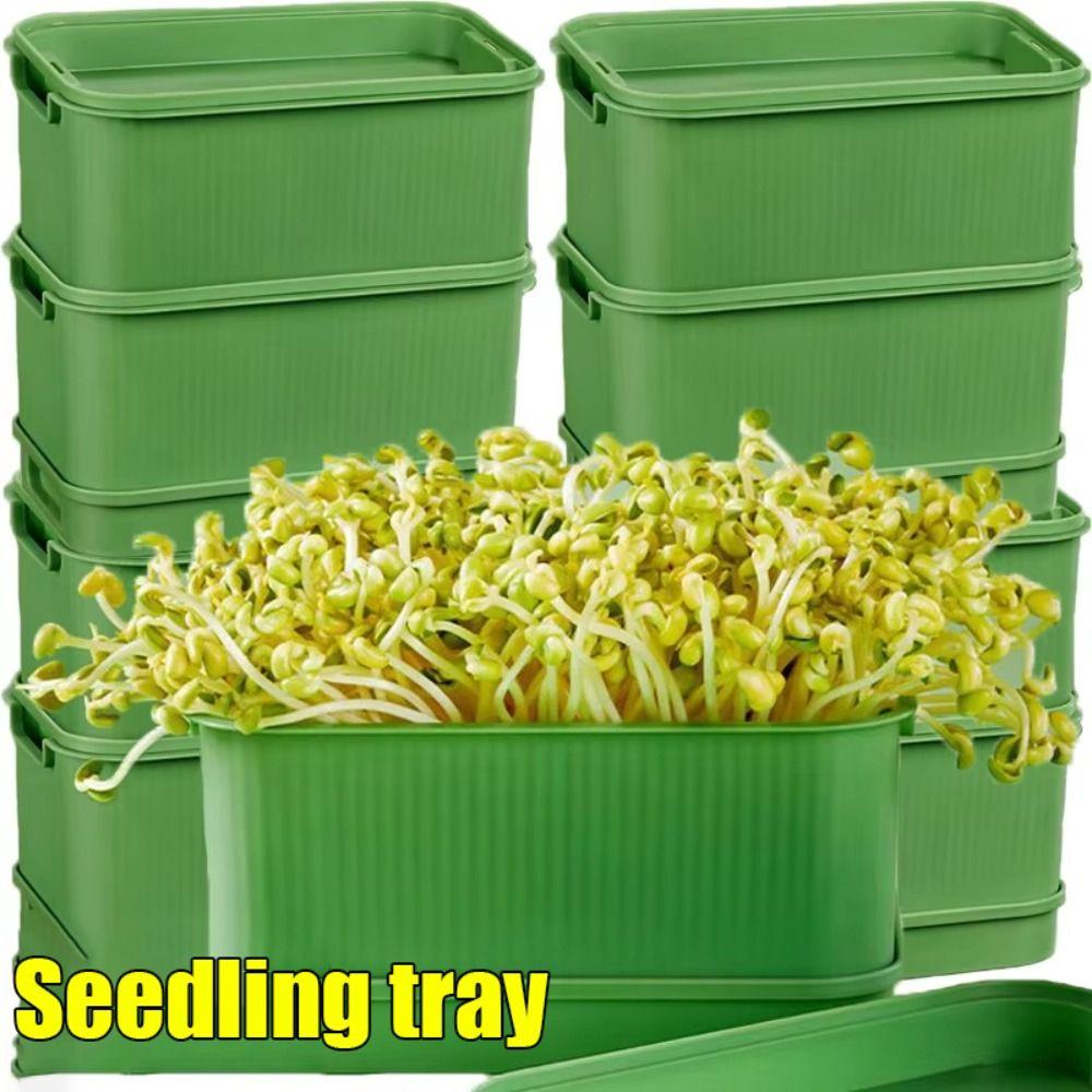 Plastic Seed Sprouter Tray With Cover Beans Seeding Pot New Sprout Dish Growing Pot