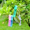 100pcs Reusable Garden Plant Tag Plastic Vegetables Labels New Ring Buckle Sign  Markers Tool