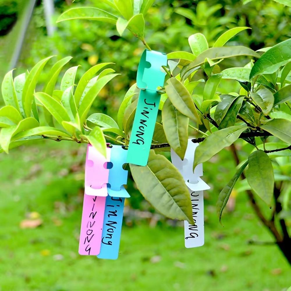 100pcs Reusable Garden Plant Tag Plastic Vegetables Labels New Ring Buckle Sign Markers Tool