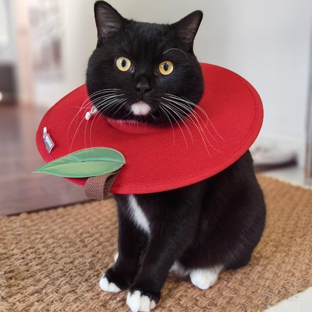 Weiche Fruchtform Kitty Genesungs-Halskrause Anti-Biss Hund Schutz-Halskegel Stoppt Lecken