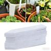 Succulent Plant Label1003D Ground Insert Waterproof Sun Protection Label SignDIYPlanting Tools Gardening Supplies