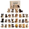 Tiny 3D Beaded Animal DIY Kit with Instructions Easy DIY