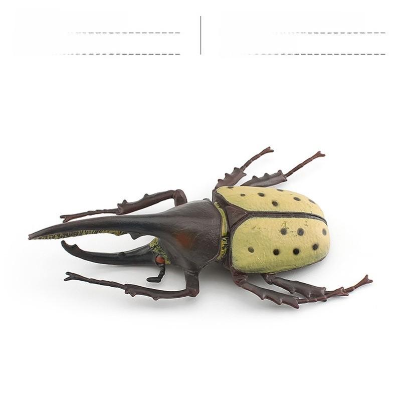 Insect Animal Model Pvc Collection For Educational Display And Collection Enthusiasts