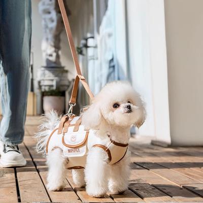 Fashion Transport Shoulde Bag Pet Carrying Box Dog Travel Crossbody Bag Pet Dog Carrier Handbag for Small Dogs Pets Accessories