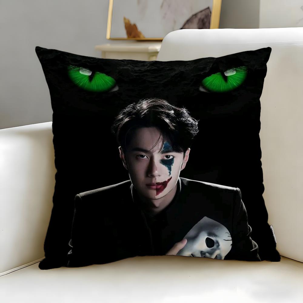 popular actor Wang Yibo Cushion Cover Soft & Easy-Wash Pillow Case – Versatile for Couch, Bed, Travel and Office