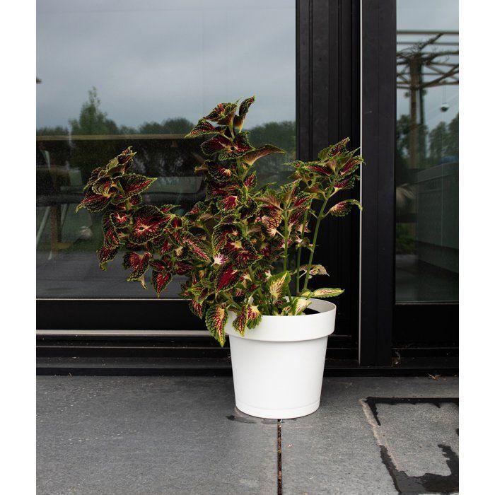 Pot de fleurs avec réserve rond - GARDEN ID - Glamour - Ø 50 - 47 L - H 43 cm - Blanc