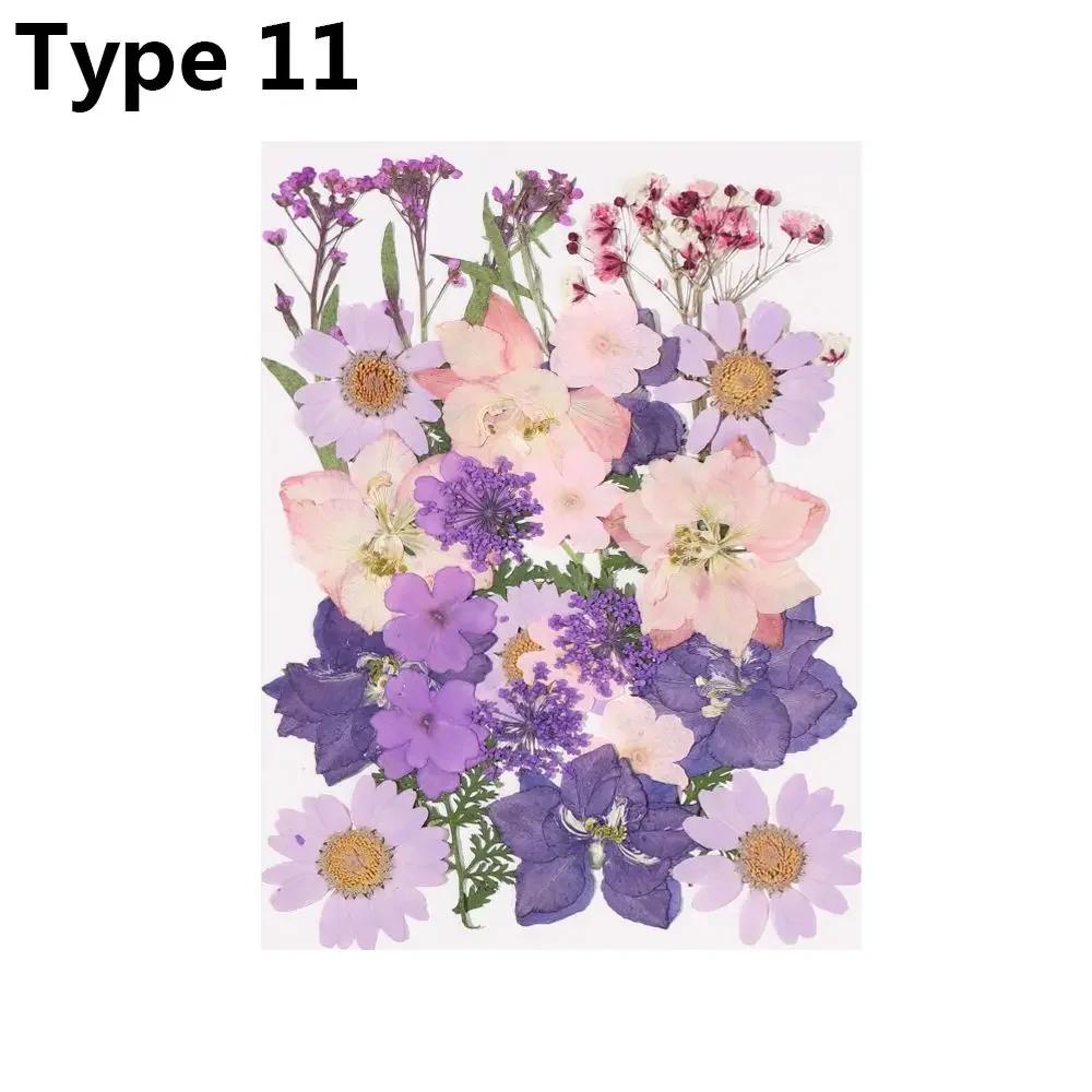 Dried Flowers UV Resin Decorative Natural Flower Stickers 3D Pressed Dried Flowers Beauty Decal Nail Art Epoxy Mold Filling