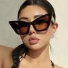 Punk Leopard Print Eyewear Big Frame Wide Legs Sun Glasses Fashion Cat Eye Sunglasses  Travel