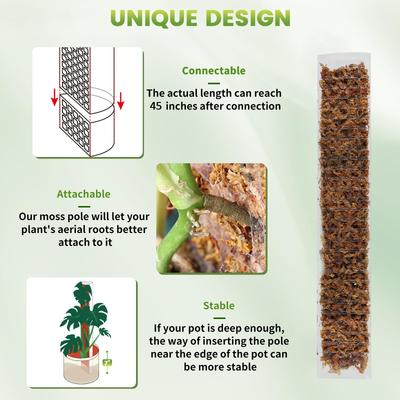 Poteau en Mousse pour Plantes Grimpantes 24/36/48 Pouces, Colonne en Mousse d'Eau pour Intérieur, Poteau en Plastique pour Support de Sphaigne, Bâtons pour Plantes en Pot, Croissance, Jardin