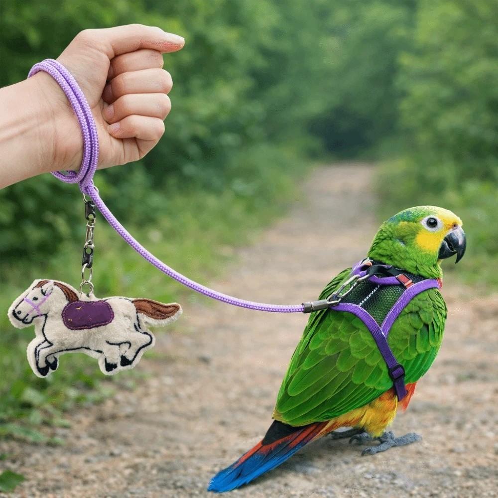 Anti-Bite Bird Harness Leash Adjustable Anti-flying Bird Training Rope Lightweight Elastic Rope Parrot Traction Rope