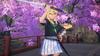 SAMURAI MAIDEN - Switch