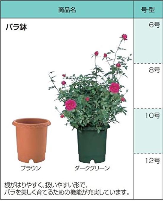 Richelle Rose Pot No. 6 Dark Green