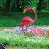Weather Resistant Iron Flamingo Garden Sculpture Easy Relocate Design Suitable For Backyard Landscape Pool Area Styling