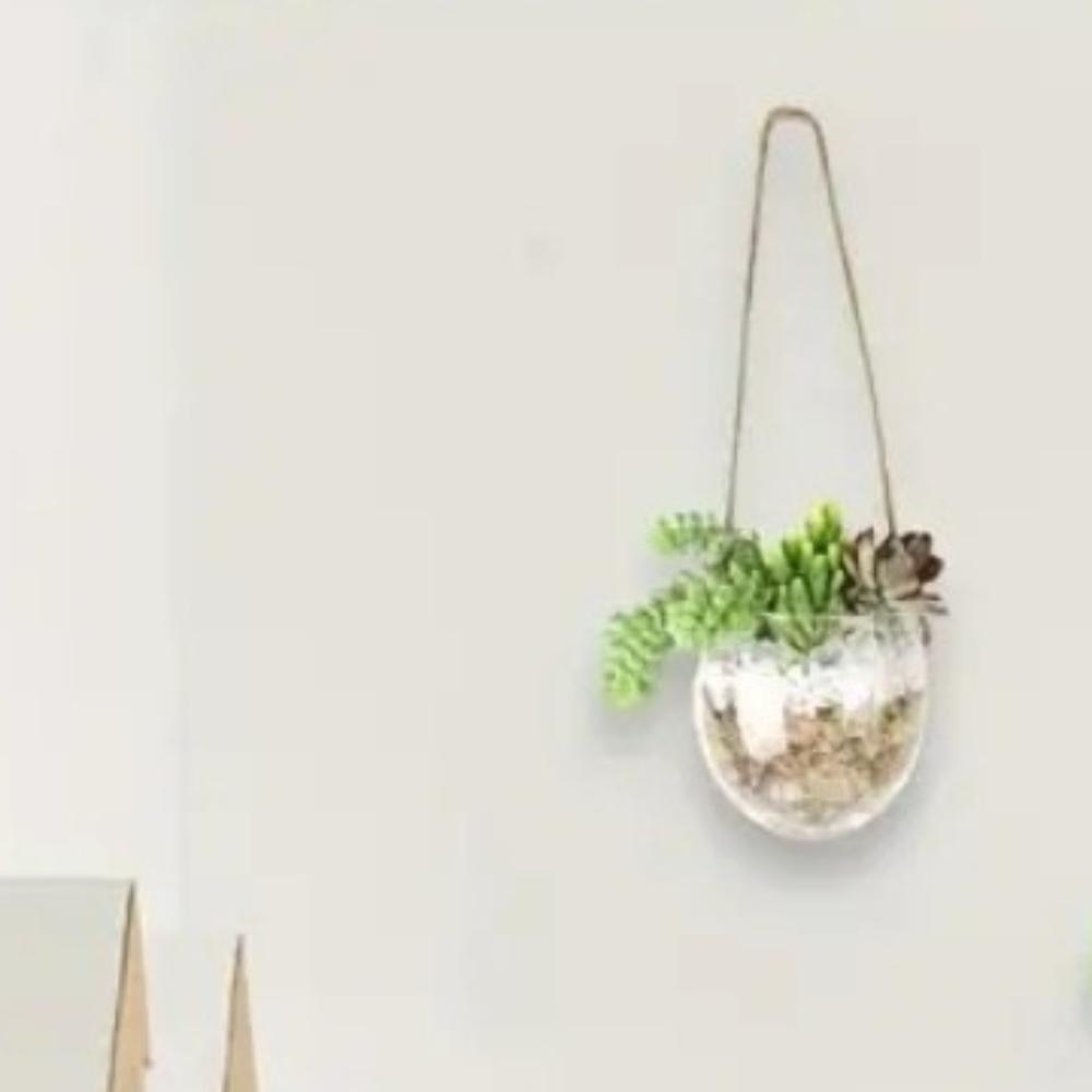 Nádherná Nástěnná Váza Průhledný Květináč Odolná Hydroponická Závěsná Váza Obývací Pokoj
