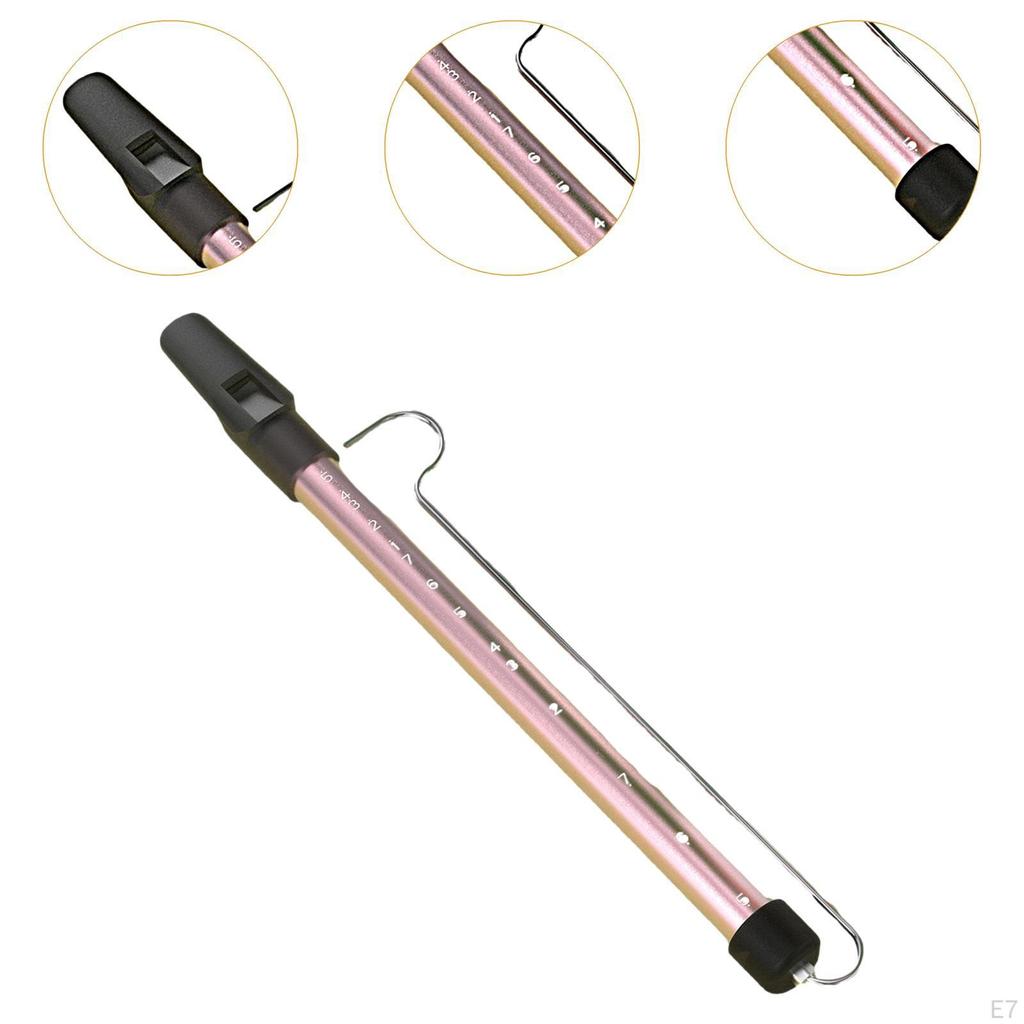 Slide Whistle Adults Toy Musical Wind Instrument for School Prizes Performers Children