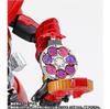 Tamashii Nation 2023 Limited Kamen Rider OOO Tajadol Combo S.H.Figuarts (Shinkocho Seiho) (Final Ver.)