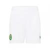 Castore Childrens/Kids 2023 Ireland Away Shorts