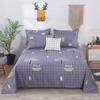 Simple Printed Simple Bed Sheet Single Piece Dormitory Pure Polyester Washed Cotton Single Double Bed Sheet