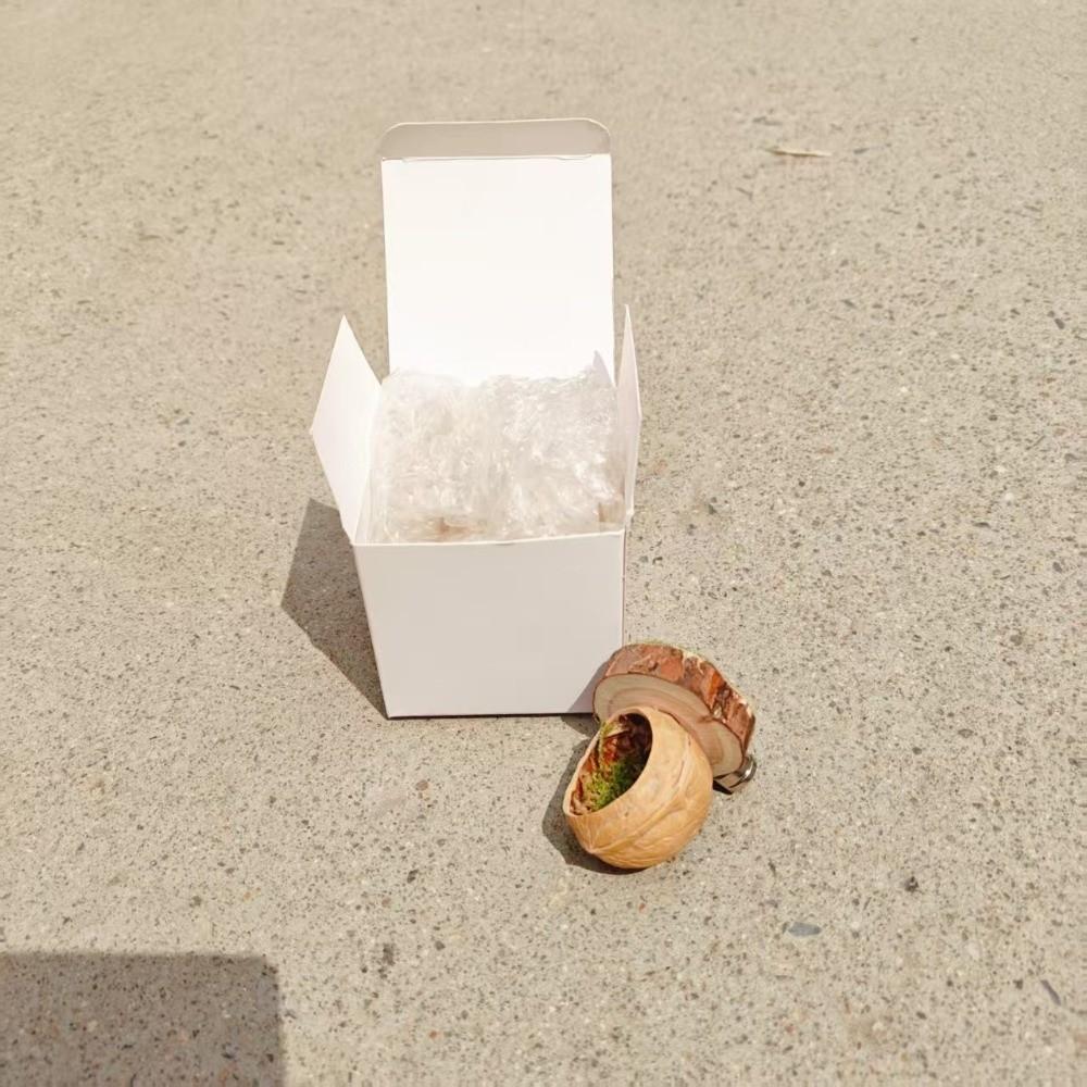 Hanging Jumping Spider Hideout Magnetic Install Insect Hide House Small Pet Supplies