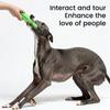 Krokodil-Form Hundekauspielzeug für Welpen - Langlebiges Quietschendes Zahnpflege-Spielzeug, Interaktive Langeweile-Linderung Haustierbedarf