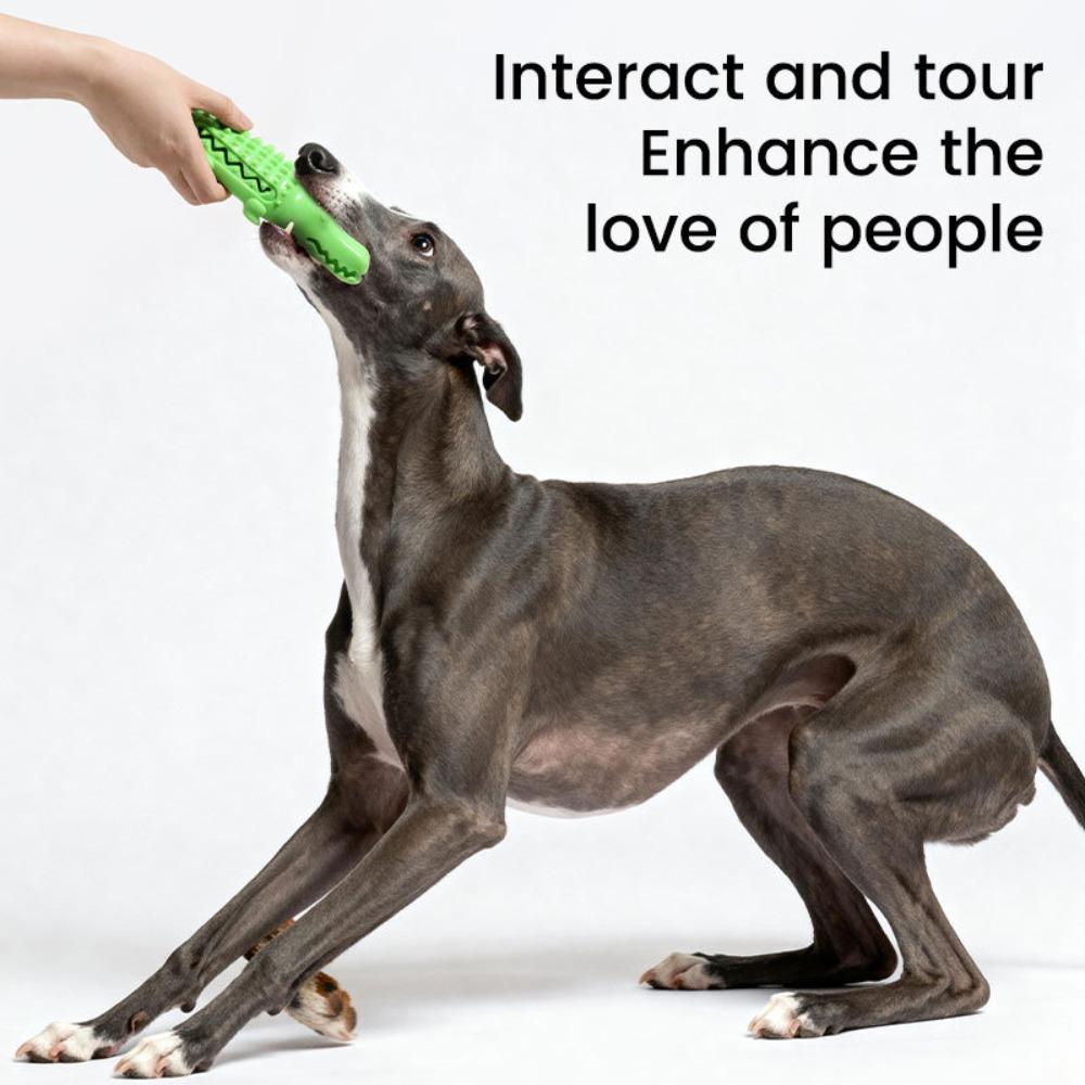 Krokodil-Form Hundekauspielzeug für Welpen - Langlebiges Quietschendes Zahnpflege-Spielzeug, Interaktive Langeweile-Linderung Haustierbedarf