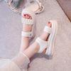 Sandals women's outer wear 2025 summer new thick-soled muffin shoes with skirts thick-soled Roman cool slippers