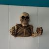 Skull Toilet Paper Holder Wall Mount Toilet Tissue Paper Roll Storage Holder Resin Skeleton Figurine Gothic Bathroom Accessory
