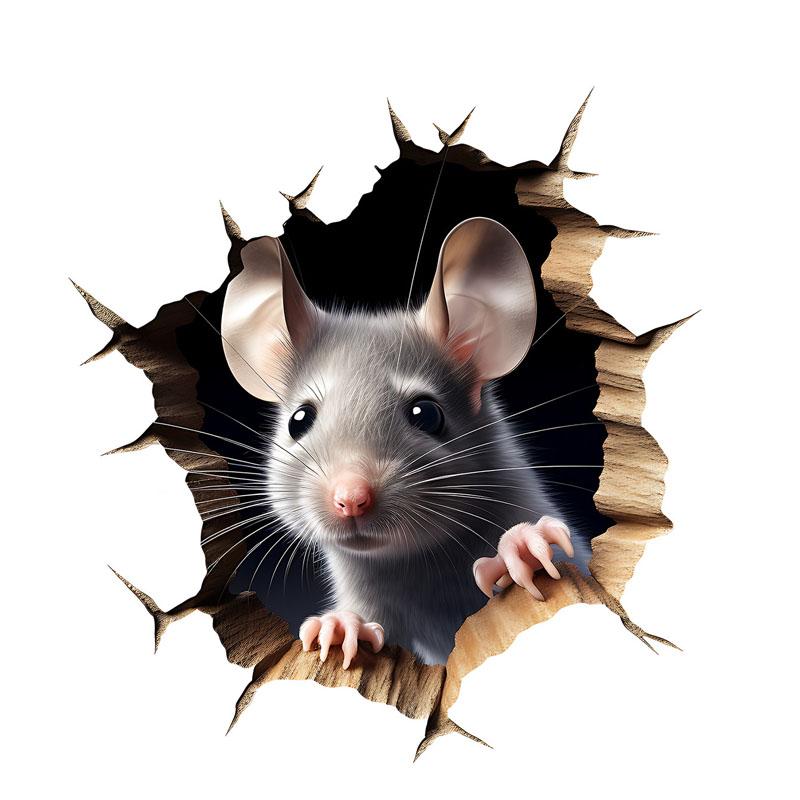 3D Mouse Hole Sticker Removable Self-Adhesive For Room Bedroom Home Decoration Accessories