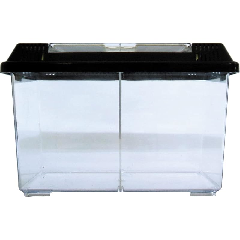 Small Plastic Case