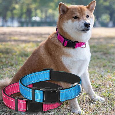 Köpek – Köpek Tasmaları ve Tasma Kayışları