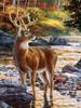 5D Diamond Painting Deer Picture Of Rhinestone New Arrival Diamond Embroidery Animal Diamond Mosaic Handicraft Home Decor