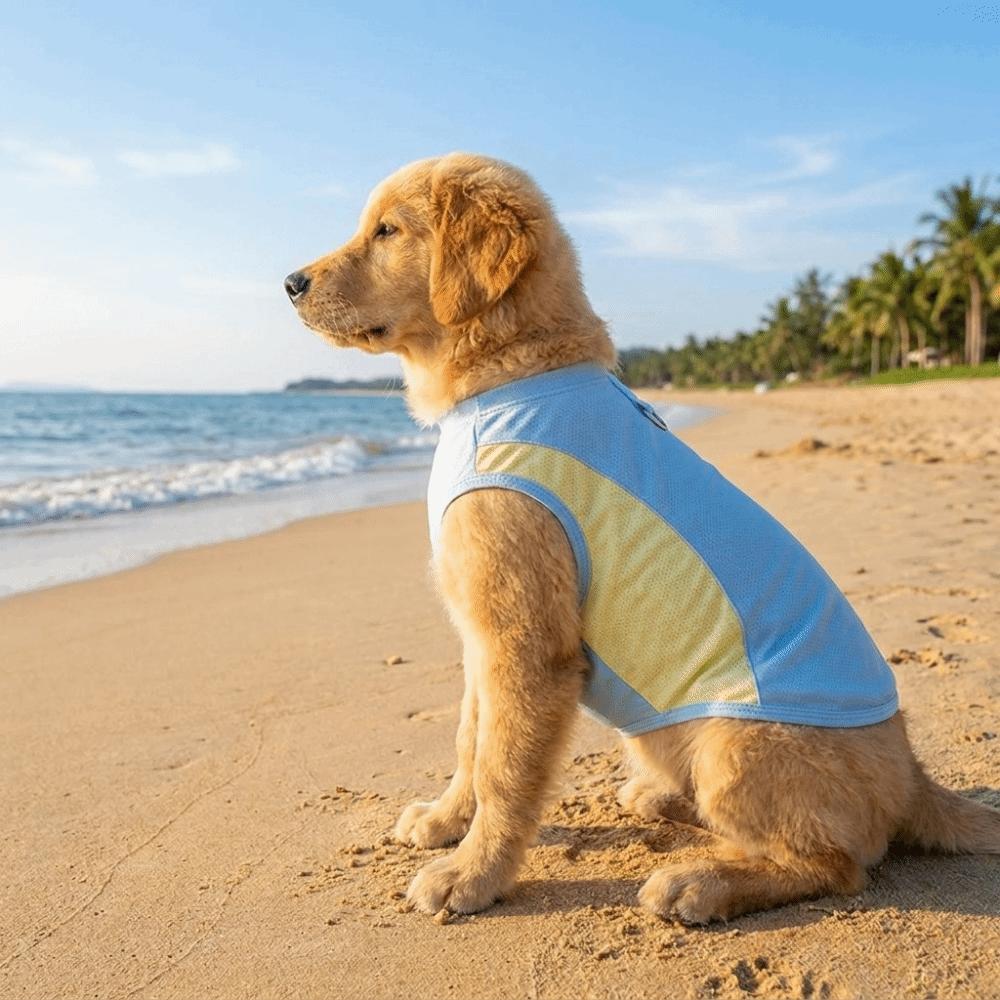 Comfortable Pet Tank Top Lightweight Pet Summer Clothes Fashion Pet Cooling T-shirts  Hiking