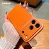 Fashion Official Leather Magnetic Phone Case for iPhone 17 11 12 13 14 15 16 Pro Max Wireless Charge Protector Back Cover Funda