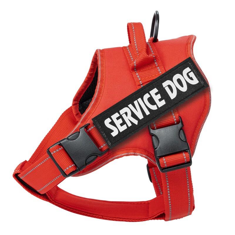 OJW Vest Dog Harness with Leash
