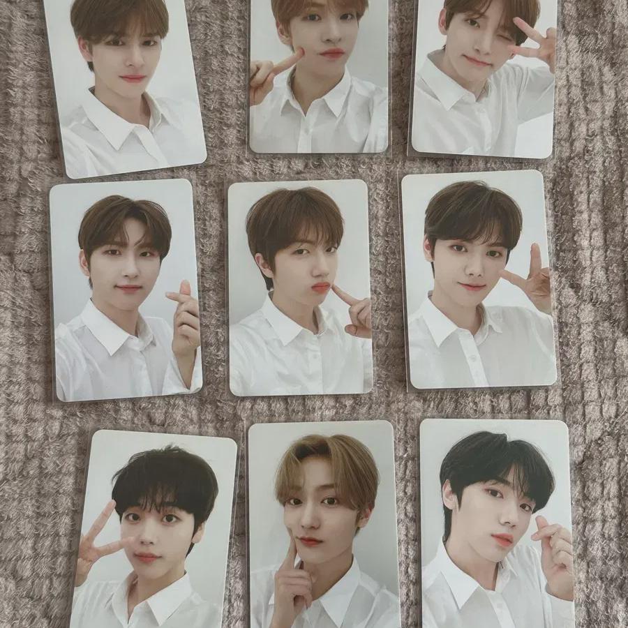 

Cravity Cravity Tin Case Photo Card Photocard Official Goods 3rd Anniversary Popup Store