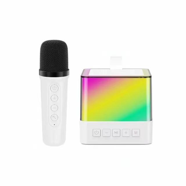 Karaoke Wireless Portable Bluetooth 5.3 Speaker With Microphone RGB Portable Music Player Karaoke Machine for Child Home Gift