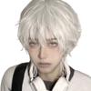 Heat Resistant Anime Men Wigs Synthetic Hair Male Cosplay Wig Full Head Short Straight  Wig  Party