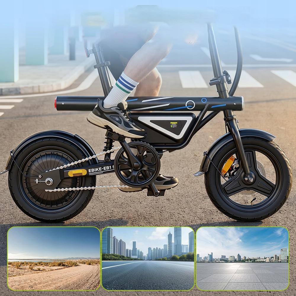Stad Elektrische Fiets EB1S krachtig 250W 25km/u 36V10Ah 45 KM Volwassen elektrische fiets, e-bike, elektrisch