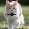 Katzen Smart GPS Tracker Halsband Anti-Verlust Kätzchen Wasserdichter Tracker Hund Verstellbare Sicherheits schnalle Reflektierendes GPS Halsband Zubehör