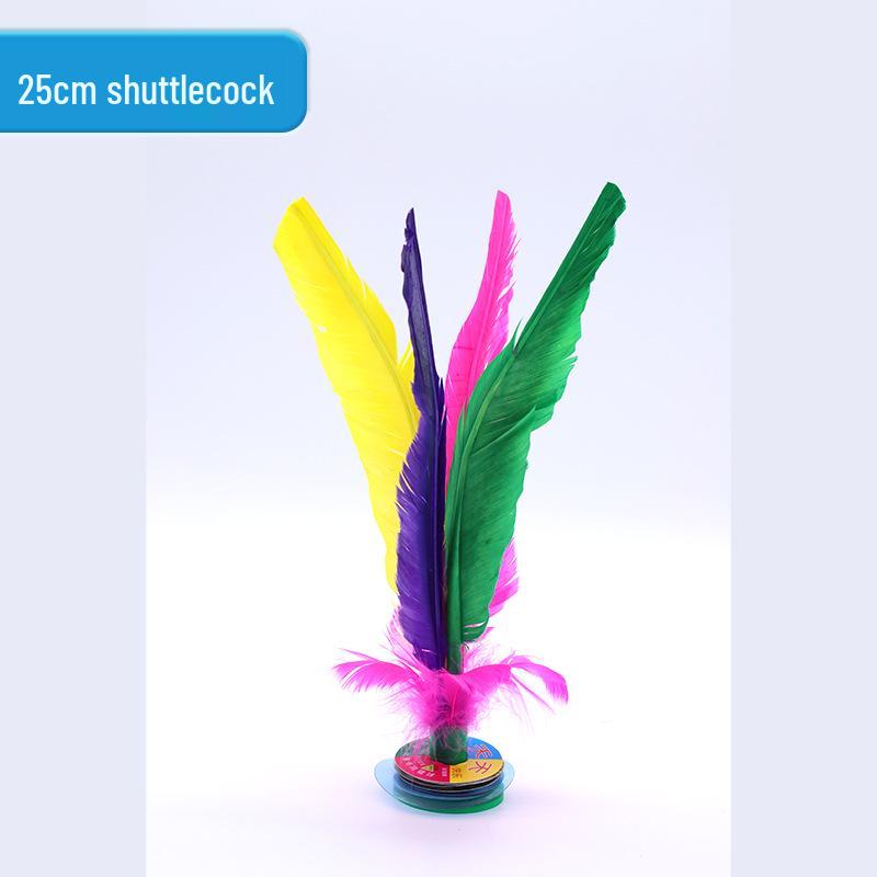 Jianzi Coloré à Plumes pour Étudiants - Grand, Plume d'Oie