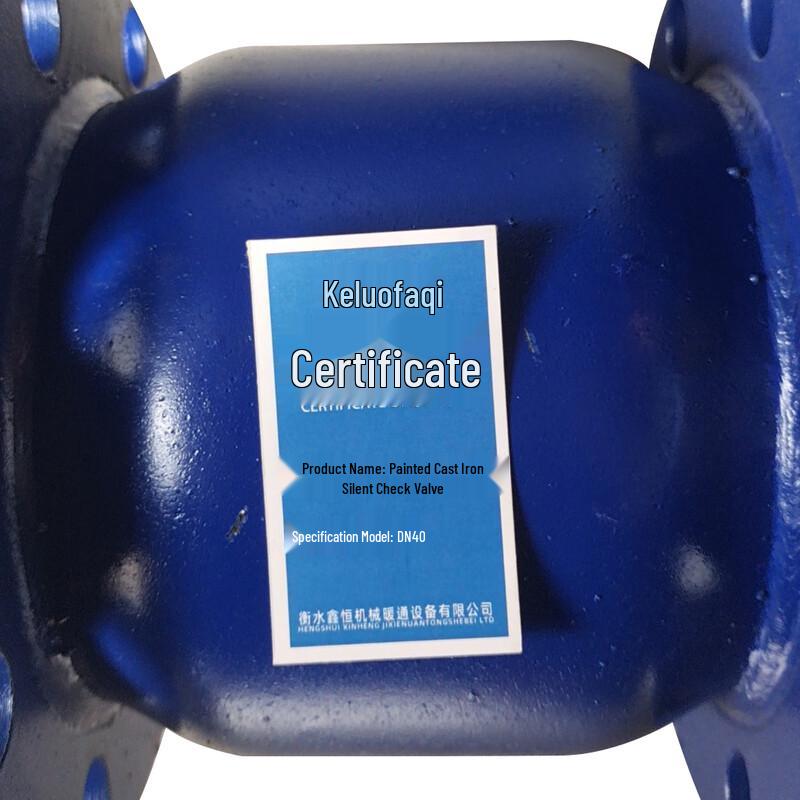 Ductile Iron Silent Check Valve