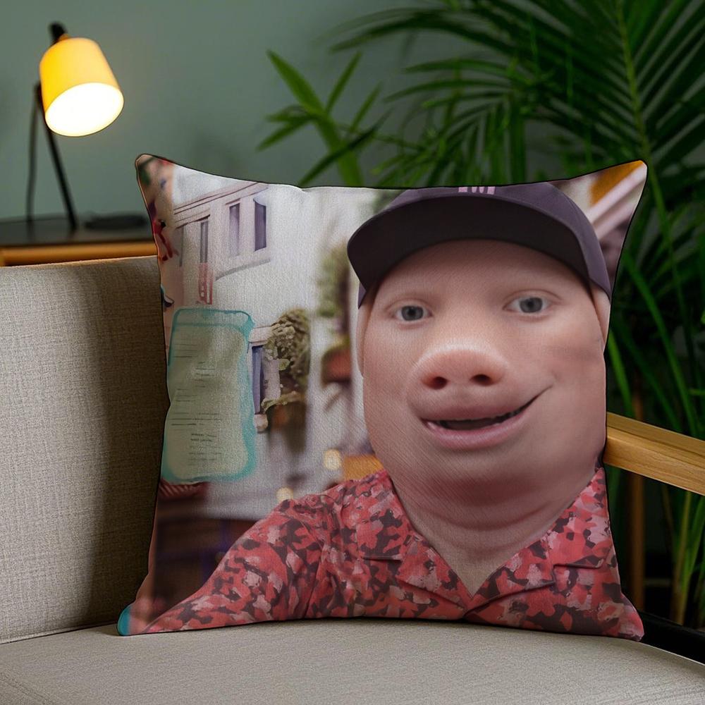 

Смешная наволочка J-John Pork Is Calling, зимняя плюшевая наволочка с двусторонним принтом, наволочка для диванной подушки, домашний декор, моющаяся 16x16Inch