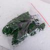 22 piece Train Landscape 6.3 Cm Green Architecture Trees