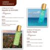 Unisex Perfume Gift Set | Perfect Christmas, Secret Santa Gift,  Perfume for Men & Women | 4 X 20ml Travel Friendly Pocket Perfume Set Combo