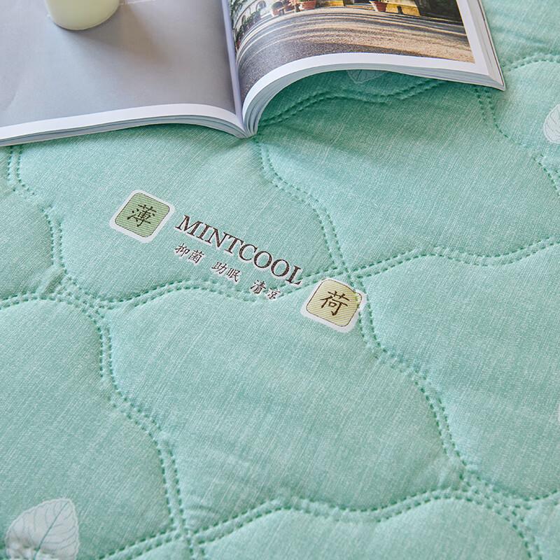 Zmn Mint Cooling Summer Quilt