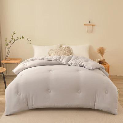 Muji Four-Season Double Antibacterial Fiber Quilt