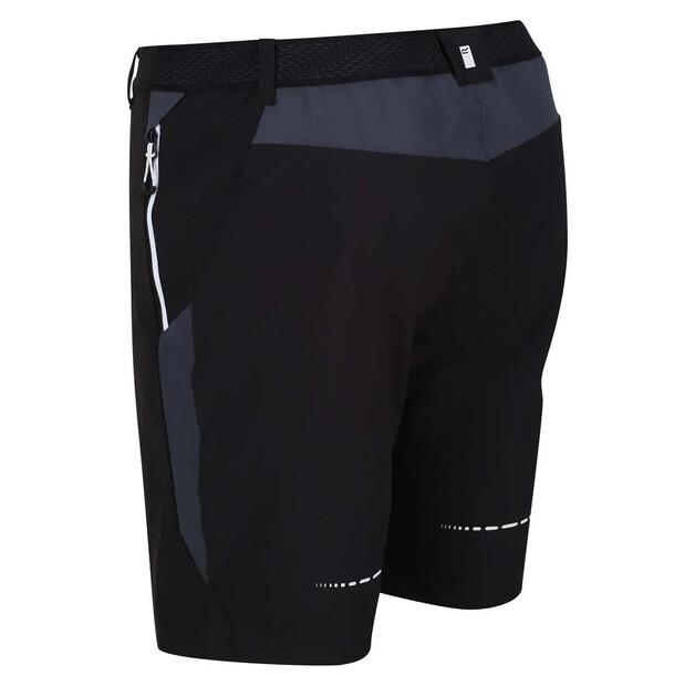 Regatta Mountain II Shorts